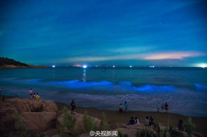 你好邻居